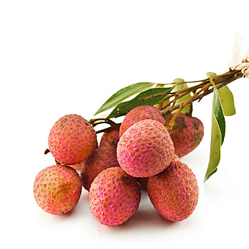 online agriculture & farming store